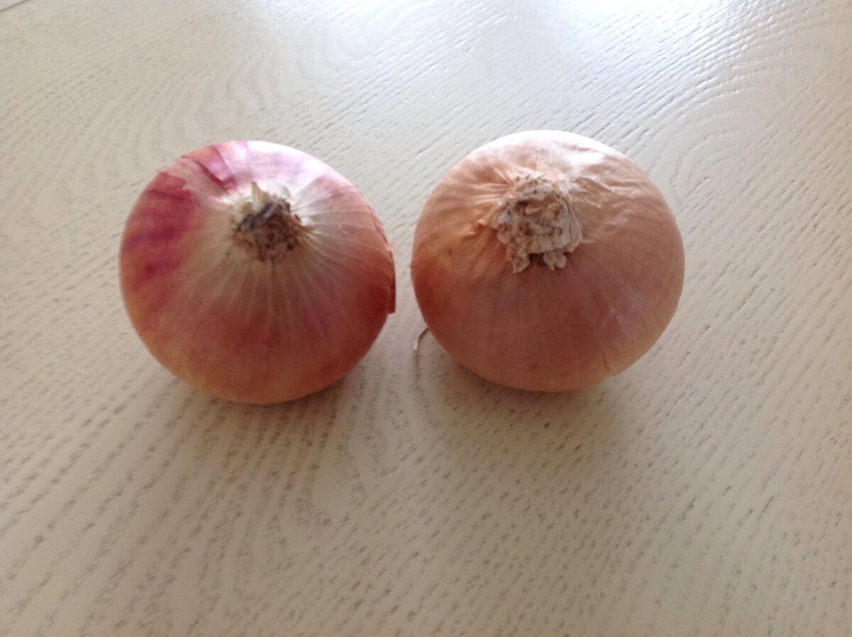 Берём 2 луковицы среднего размера. Фото автора.