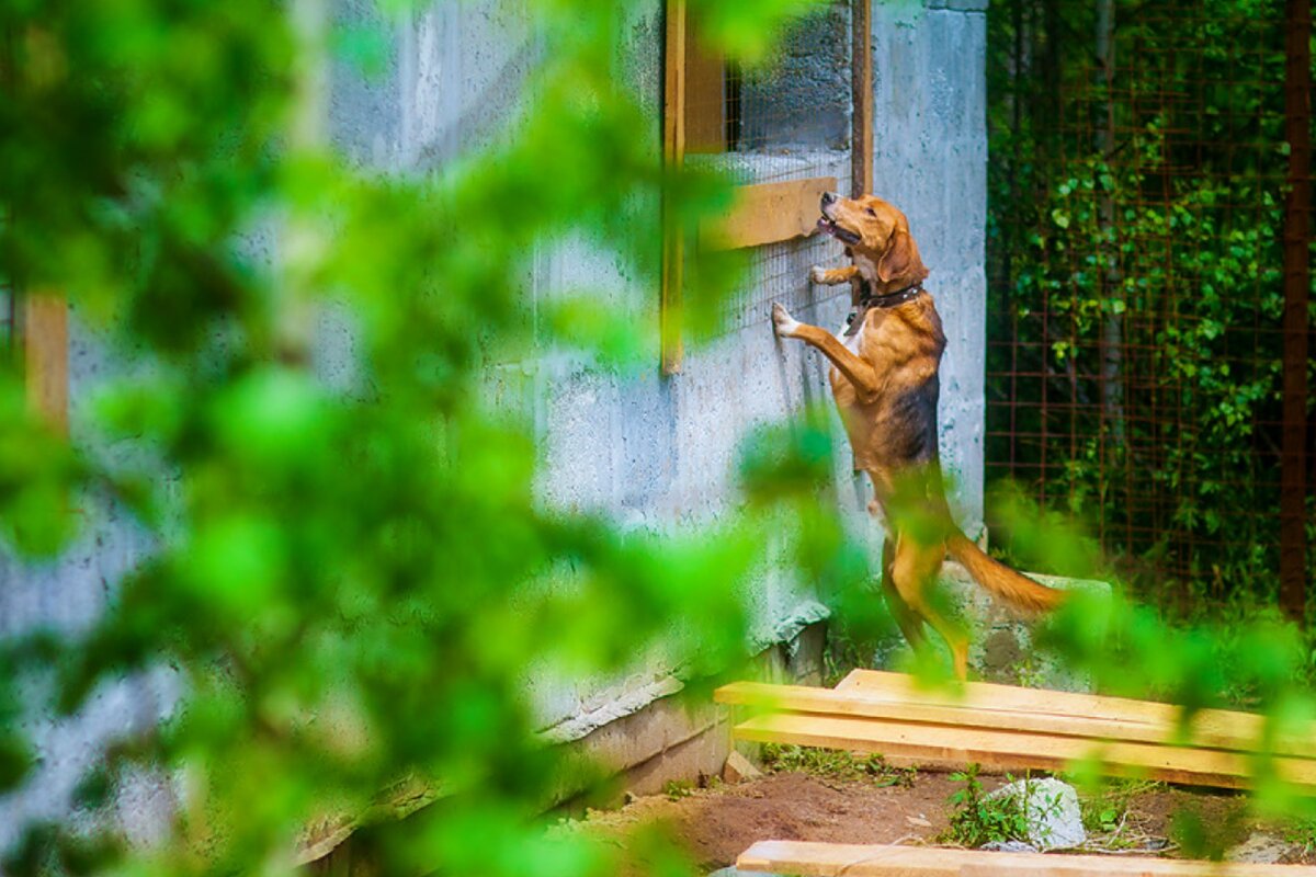 Подписывайтесь на канал и ставьте лайки - так вы поможете развитию канала и не потеряете нашу семейку 