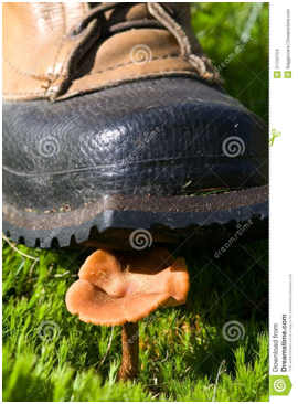 Раз мне не надо то и  другим тоже...