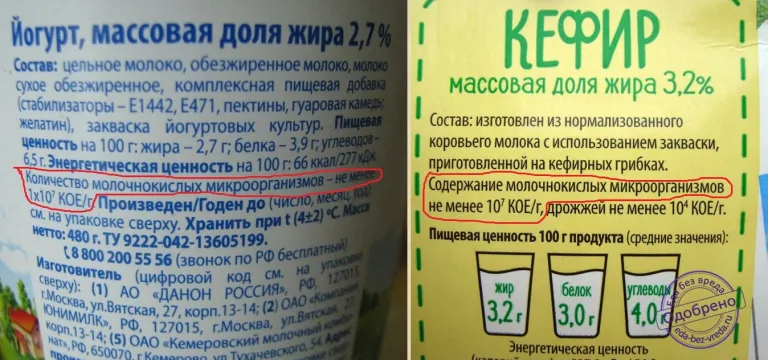 Молочнокислые бактерии, указанные в составе йогурта и кефира – это и есть пробиотики.