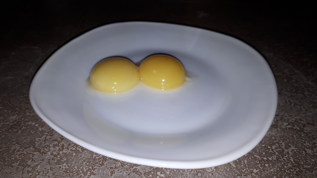 Для приготовления домашнего майонеза нам нужны только желтки.