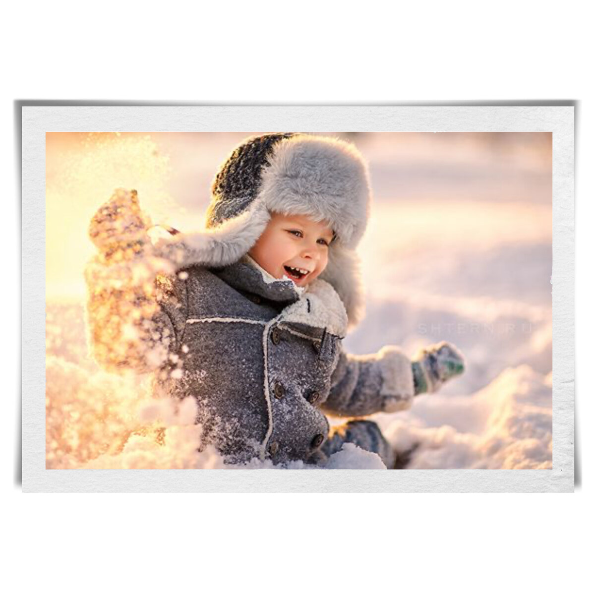 Фотография из свободного источника