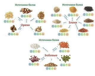 Источники растительного белка