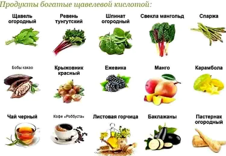 Какие продукты содержат кислоты. Продукты богатые щавелевой кислотой. В каких продуктах содержится щавелевая кислота. Продукты богатые щавелевой кислотой таблица. Содержание щавелевой кислоты в продуктах таблица.