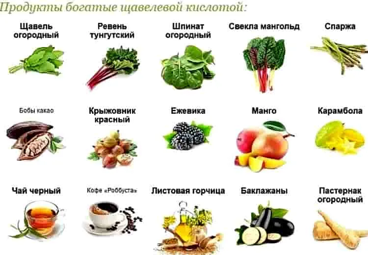 Продукты с большим содержанием кислот. Продукты богатые щавелевой кислотой. В каких продуктах содержится щавелевая кислота. Продукты богатые щавелевой кислотой таблица. Содержание щавелевой кислоты в продуктах таблица.