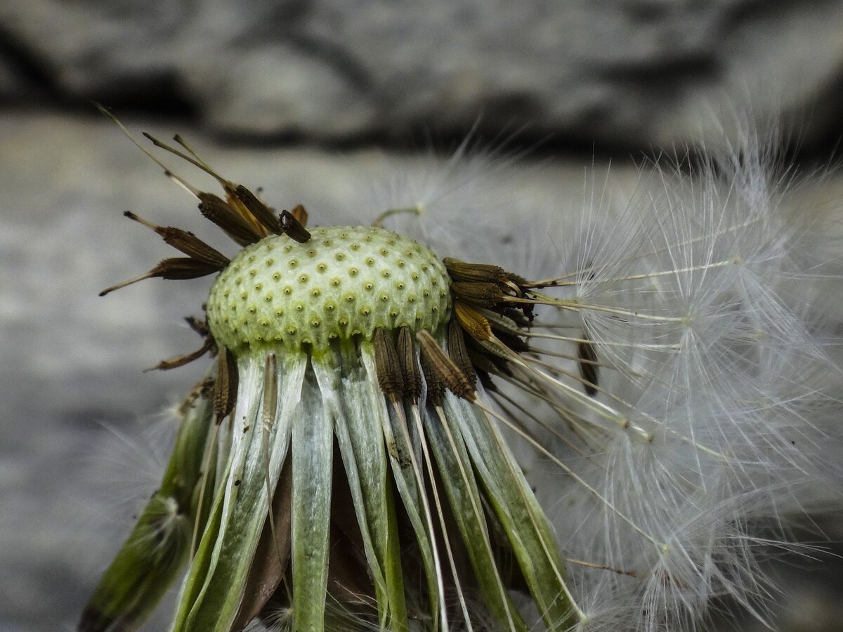 доброго здоровьечка) это яааааа(((