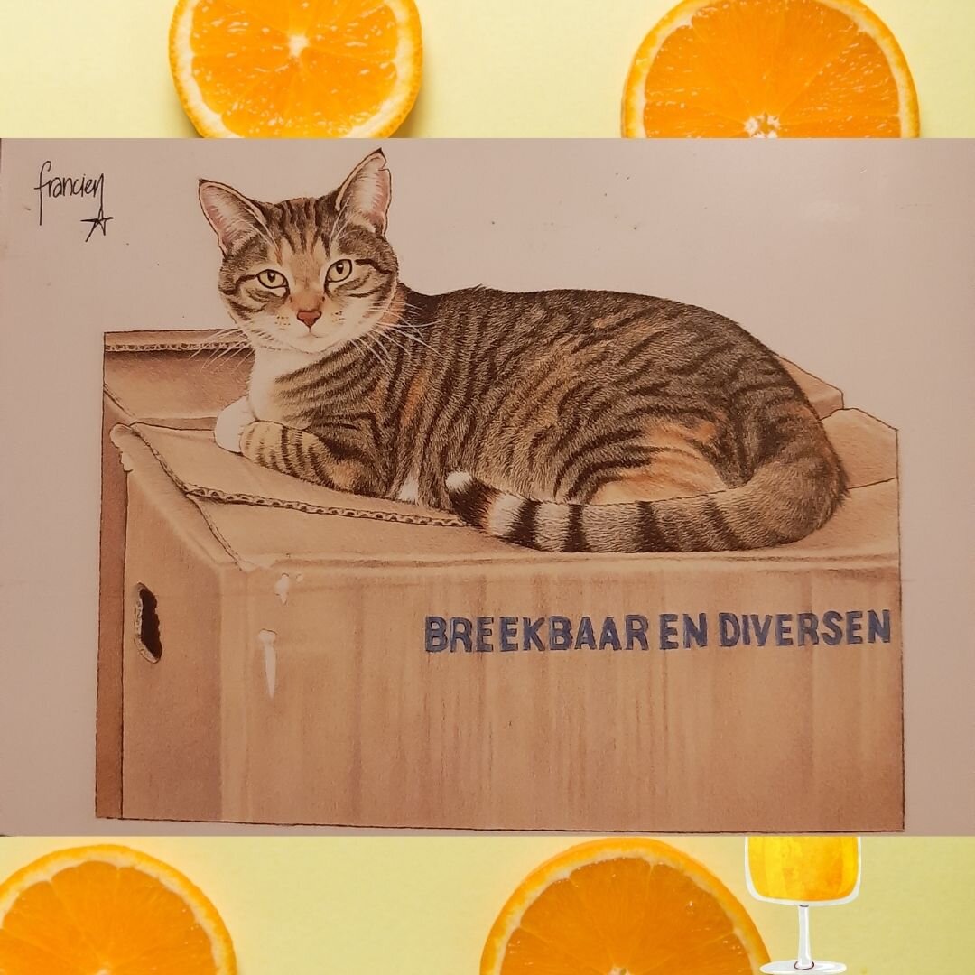 Нет тут никакого дворца, одна коробка старая!