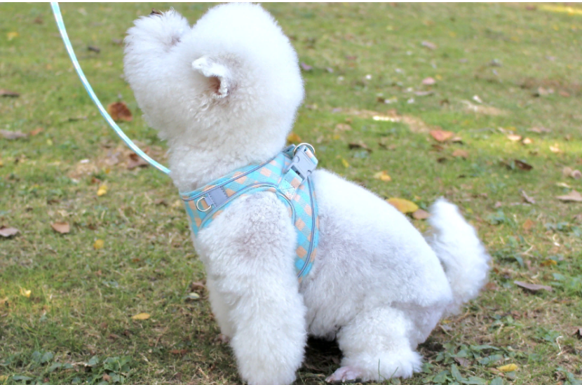 Милая клеточка и удобный карабин на спинке.