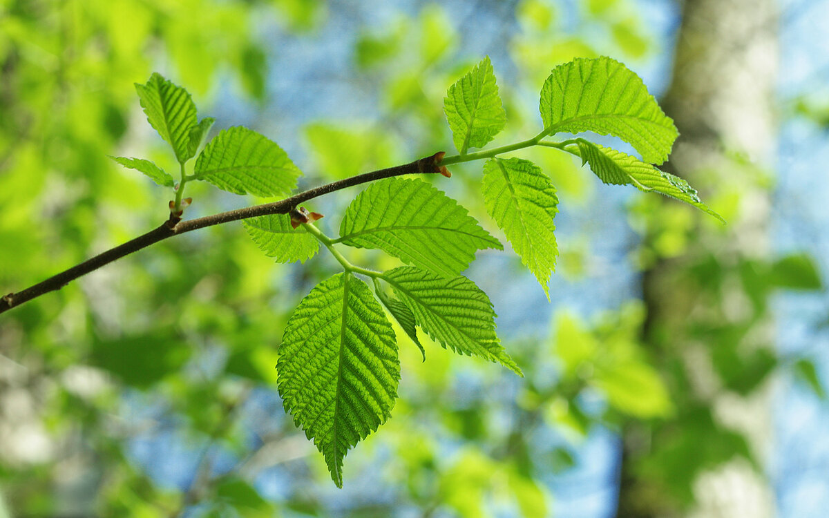 Источник изображения сайт https://www.badfon.ru