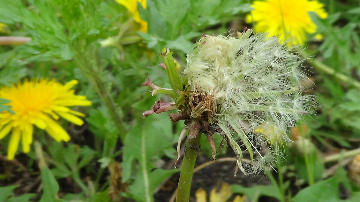 Сегодняшнее утро в лесу