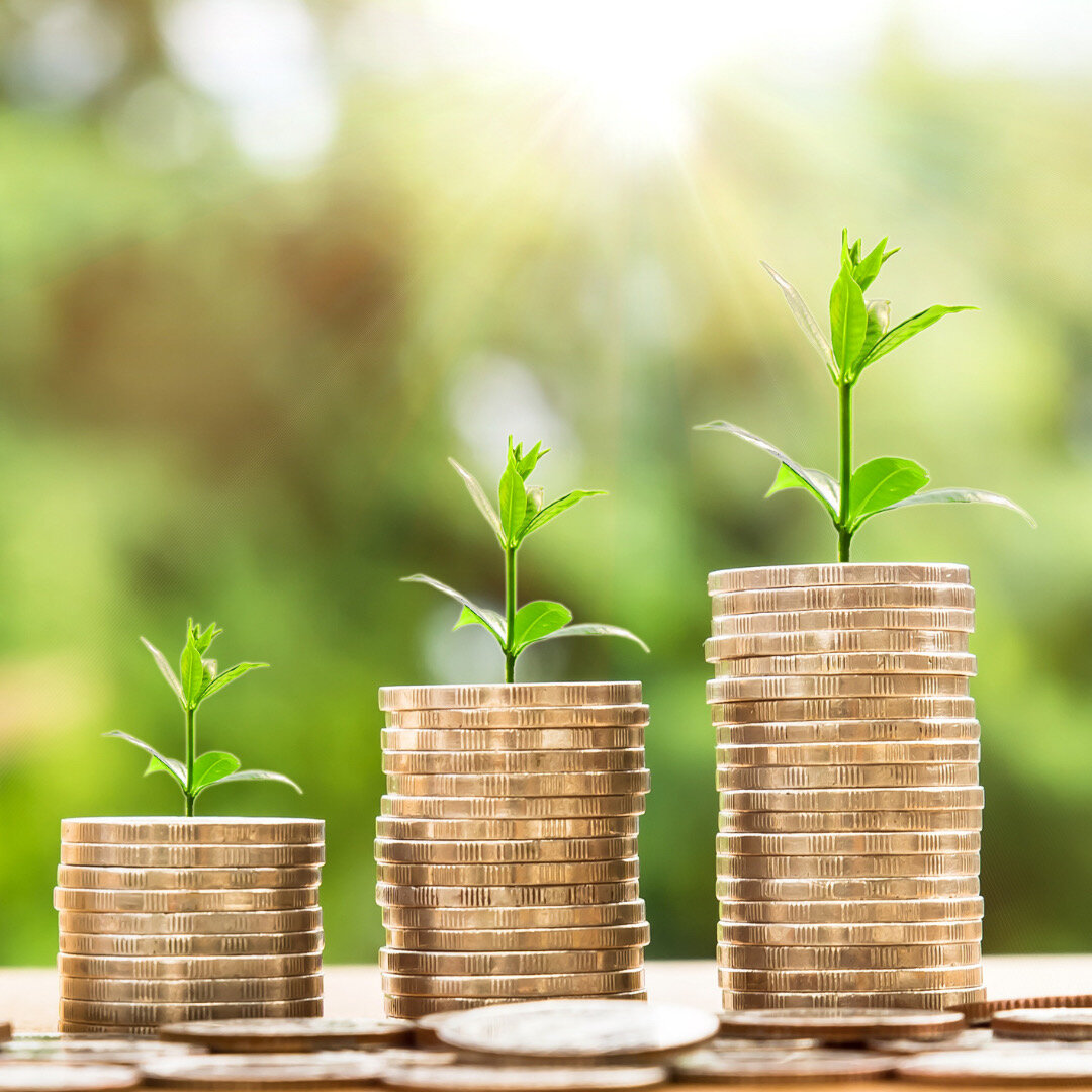 Фото взято из открытого источника 