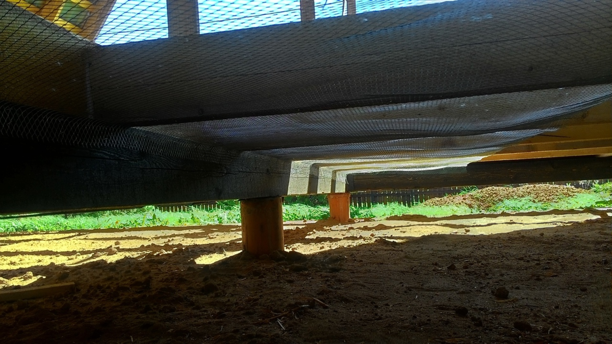 Фото автора.