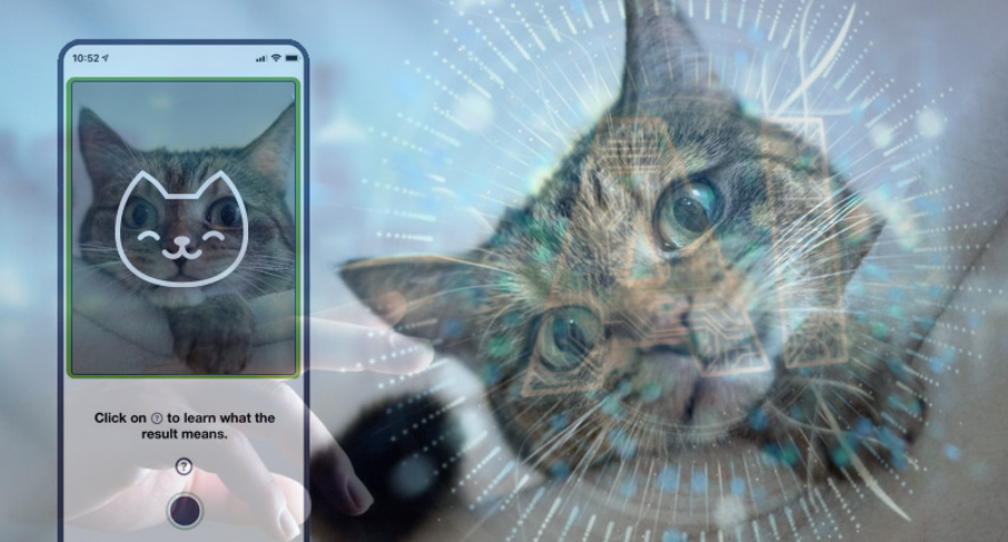 Пилотная версия уже готова