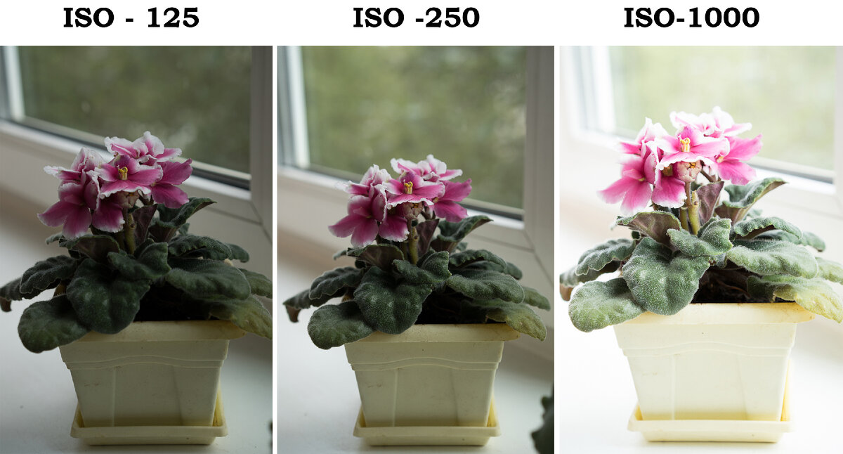 Пример разного значения ISO