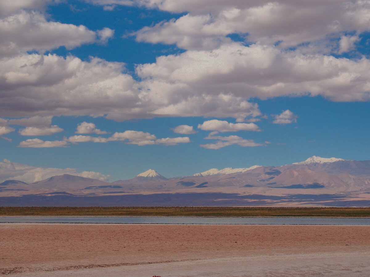 Невероятно, на факт: в пустыне можно плавать не хуже, чем на море. Не ...