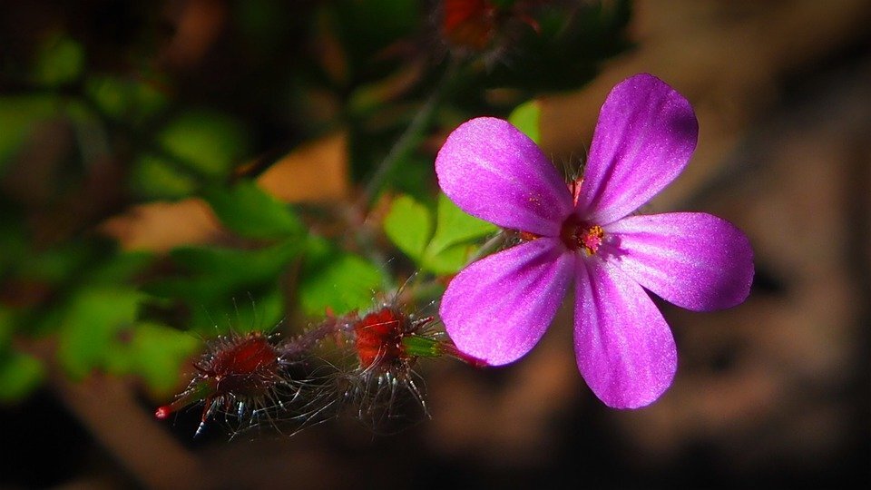 фото взято из открытых источников