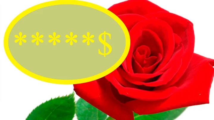 дорогие цветы