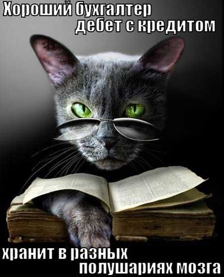 Бдительный бухгалтер