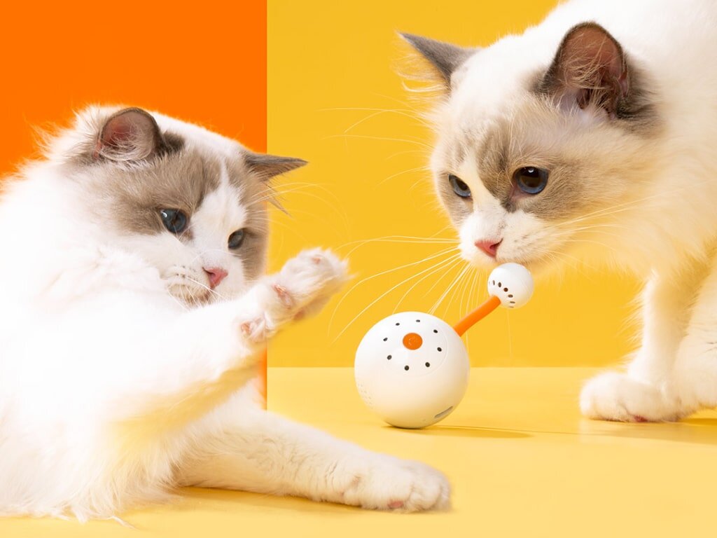 -2