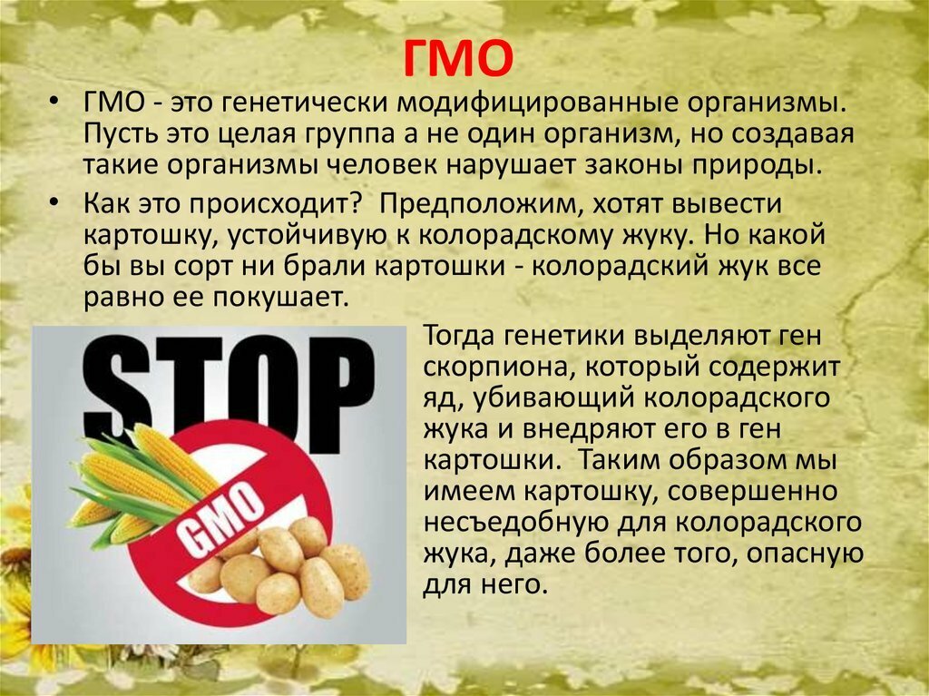 Гмо тест. ГМО продукты. Генномодифицированные продукты. Генномодифицированные организмы. ГМО продукция.