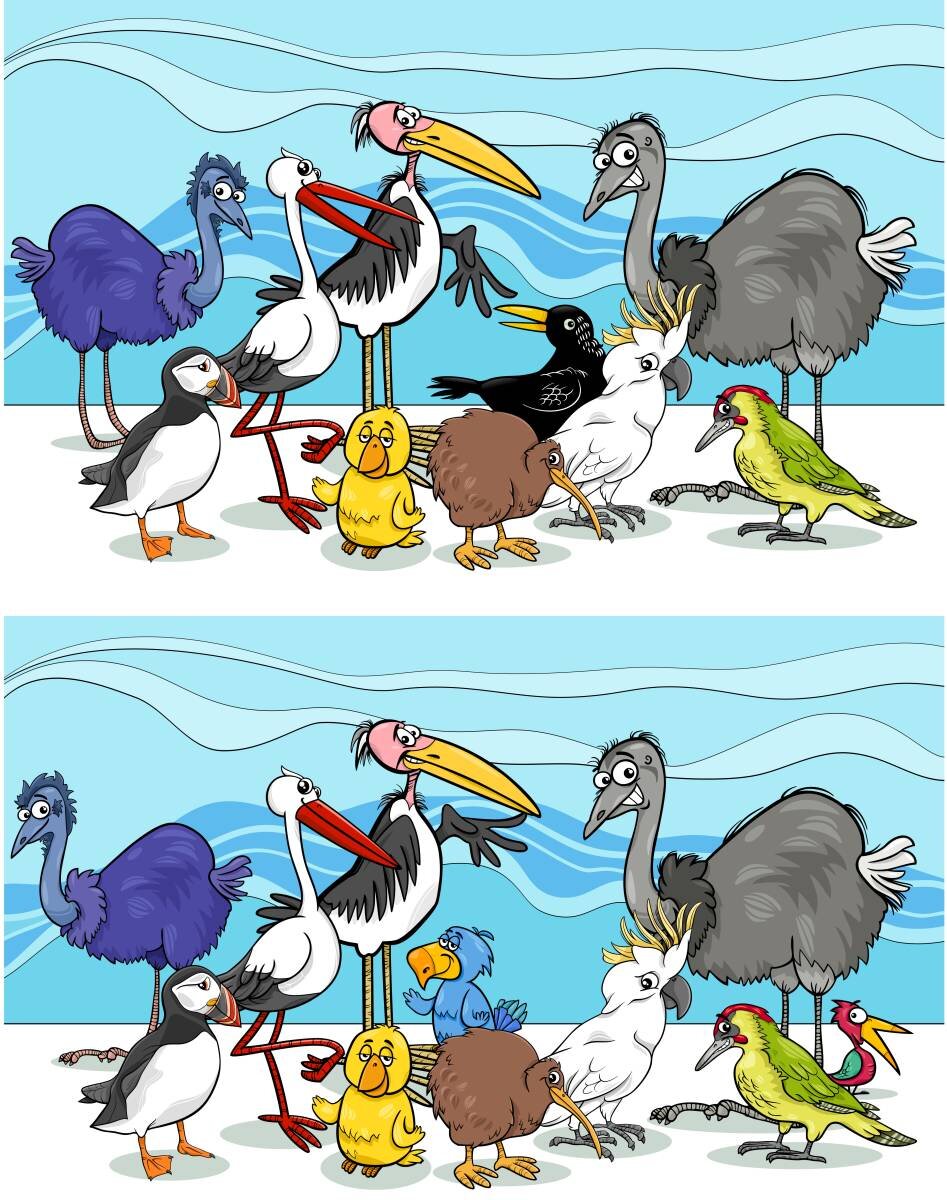 найди отличия задания для дошкольников. птицы найди отличия задания для детей. головоломки найди отличия. найдите 10 птиц. алмазный фазан.