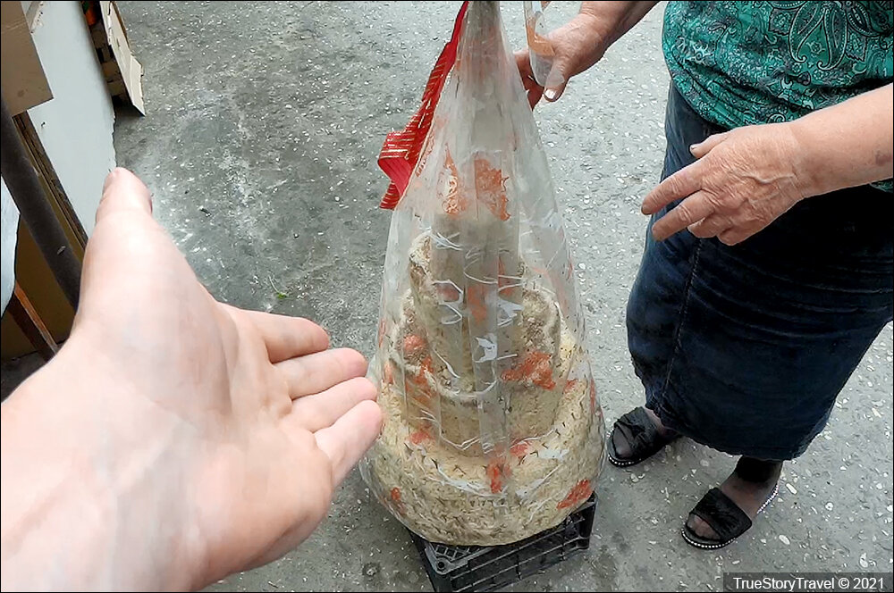 Чечня - Как чеченец знакомится с родителями невесты? Показываю свадебный торт, который он должен им подарить