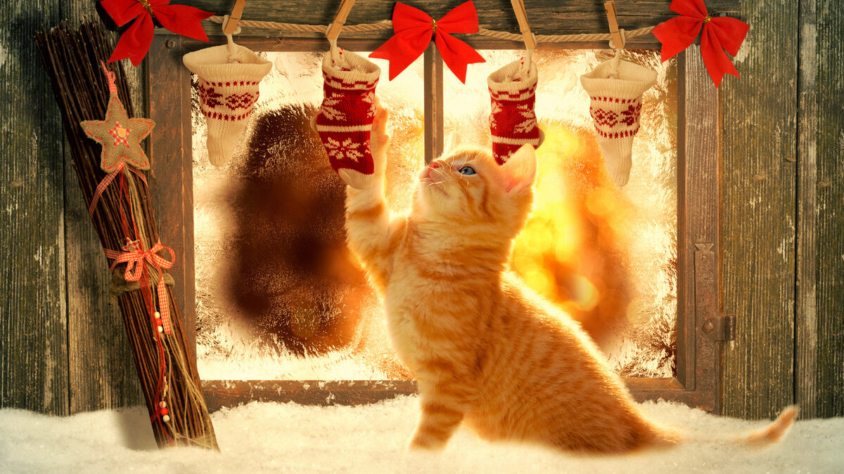 Фото из интернета.