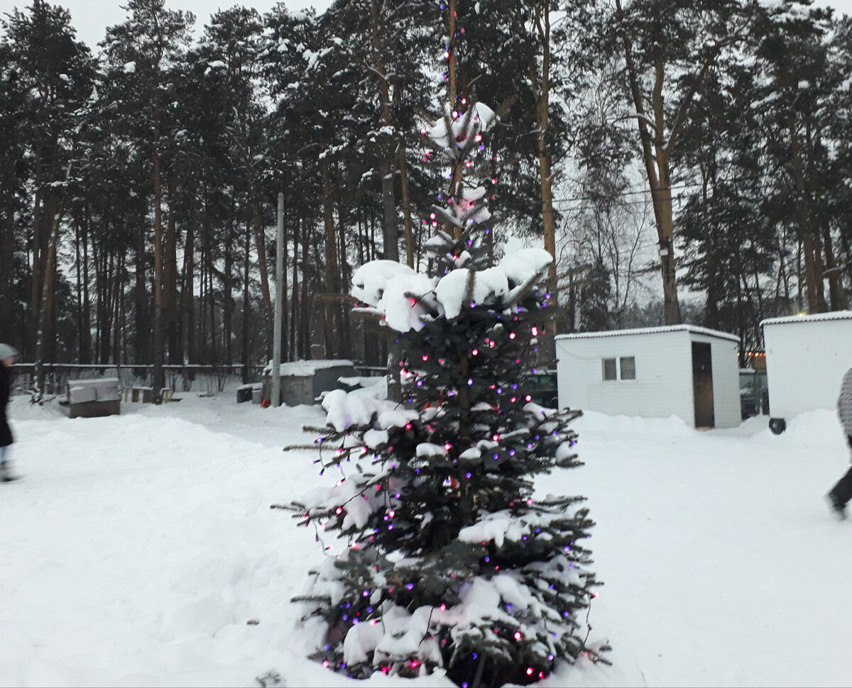 Квест сестра устроила на улице накануне Нового года. Фото автора.