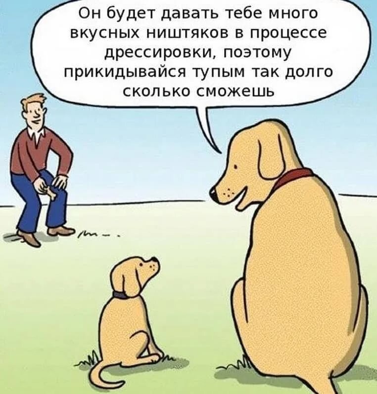 картинка взята с "яндекс картинок" в свободном доступе без нарушения авторских прав