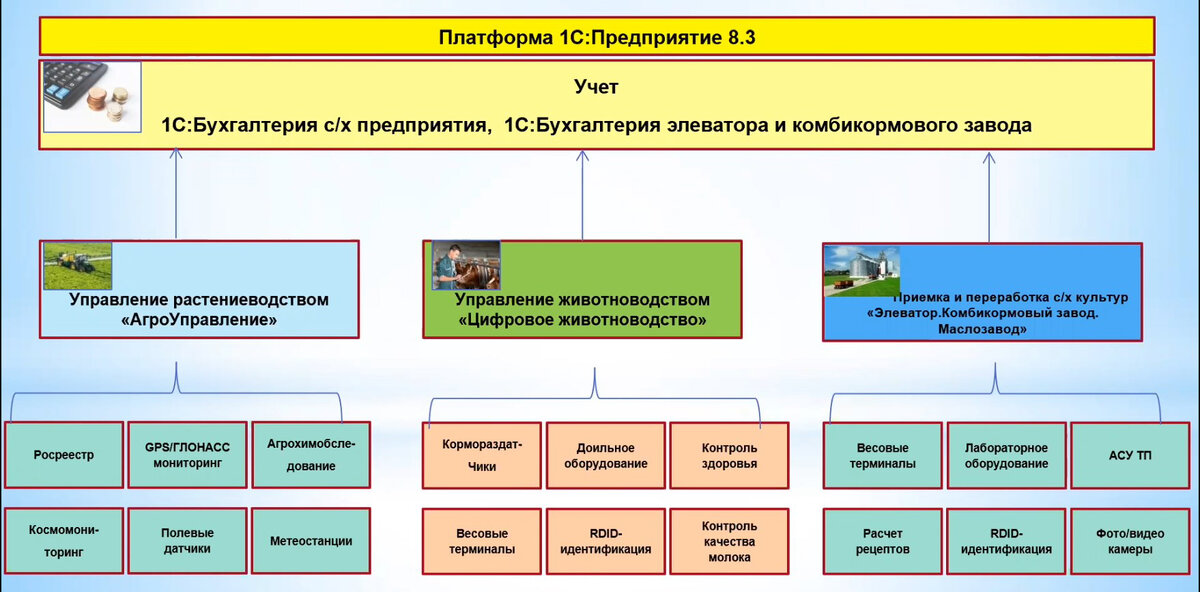 Автоматизация управления растениеводством, животноводством, производственными процессами на элеваторах и комбикормовых заводах