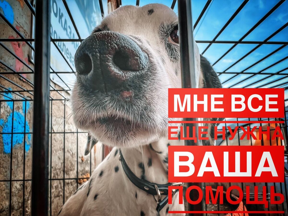 Анабель нужна помощь 