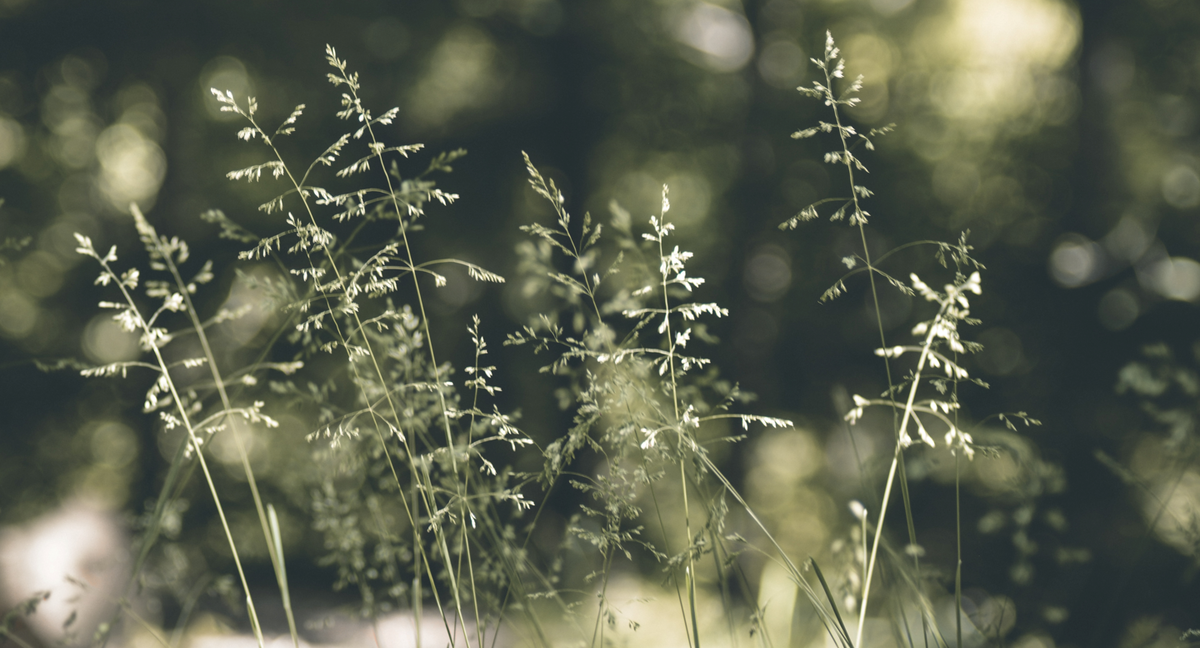 Photo by Nadezhda Nikolaenko on Unsplash