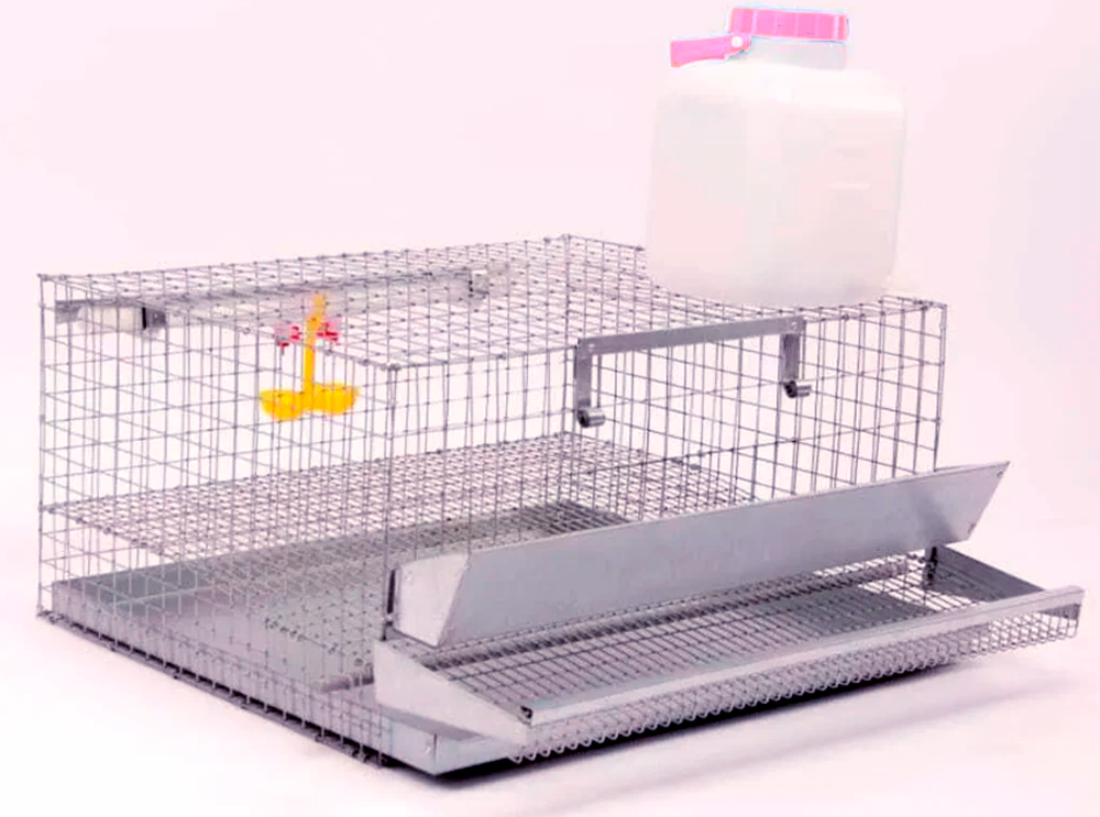 Клетка второго типа