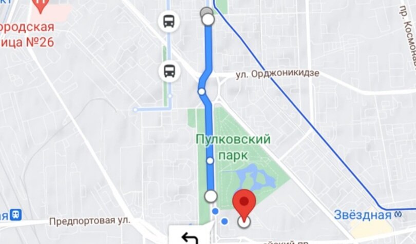 От метро "Московская" до нашей "Пулковское шоссе, 14" требовалось проехать 3 остановки на автобусе.