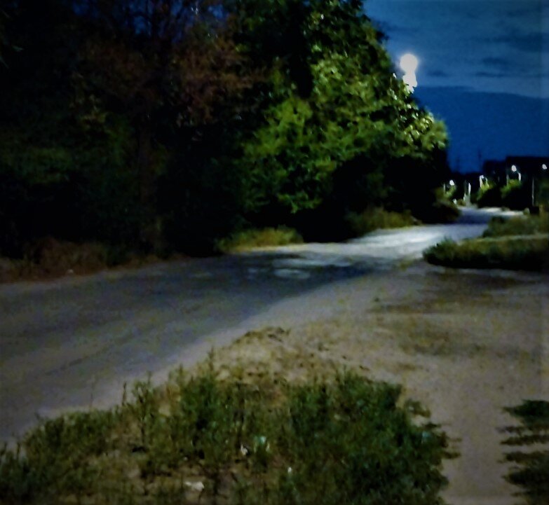 Фото автора канала  