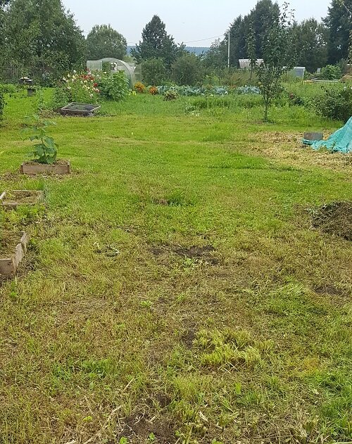 Этот участок будет пахаться и выравниваться