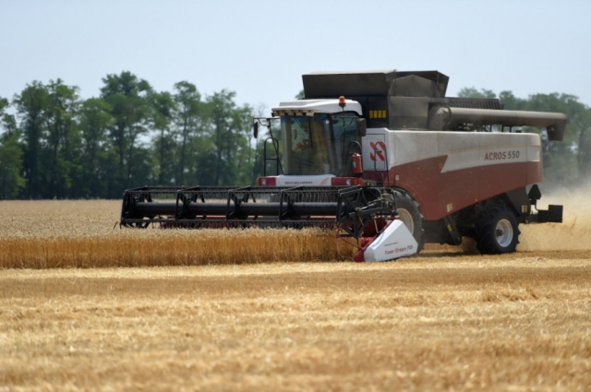    В Новосибирске на продажу выставили агрохолдинг за 850 млн рублей