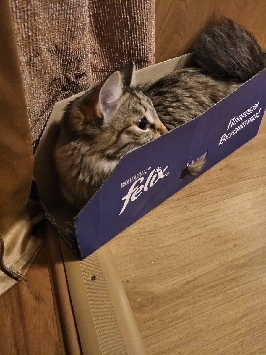 Нельзя оставлять дом без присмотра.