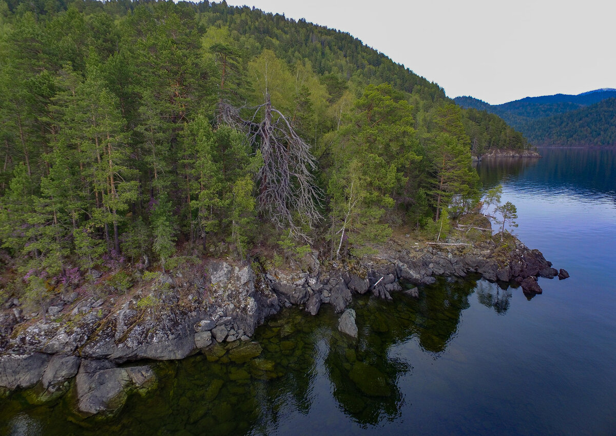 "Леший" приветствует (или предостерегает) посетителей