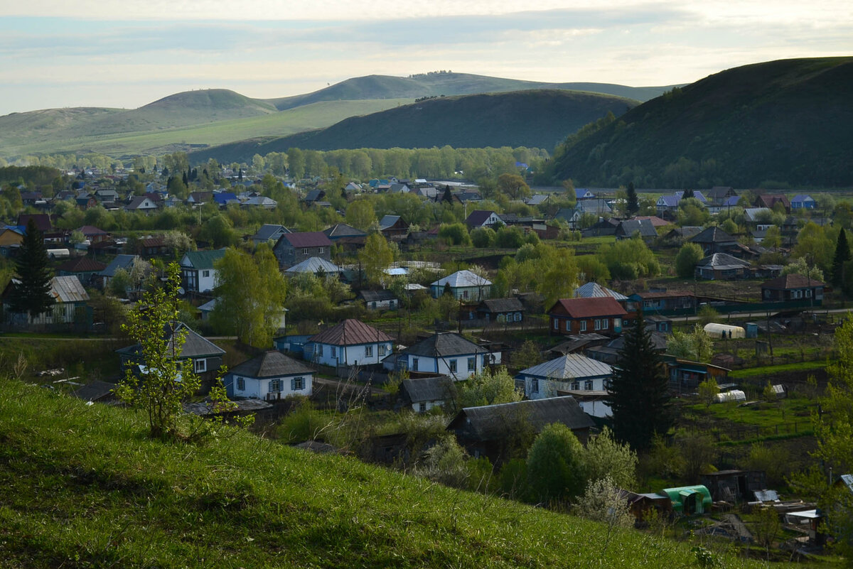 Погода село алтайское