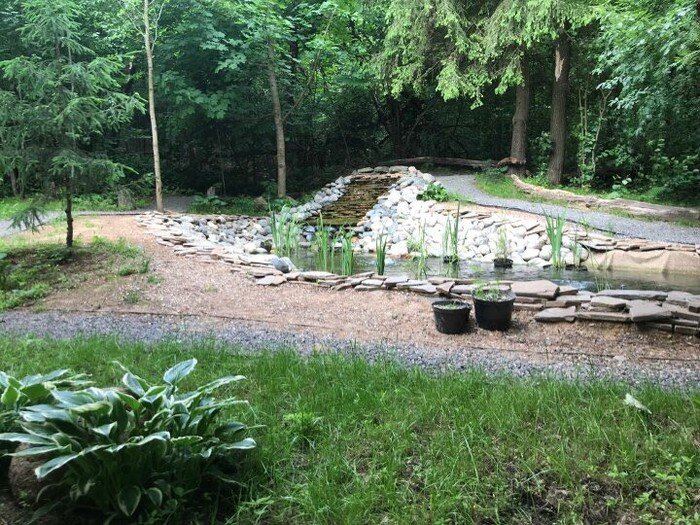 источник фото https://pikabu.ru