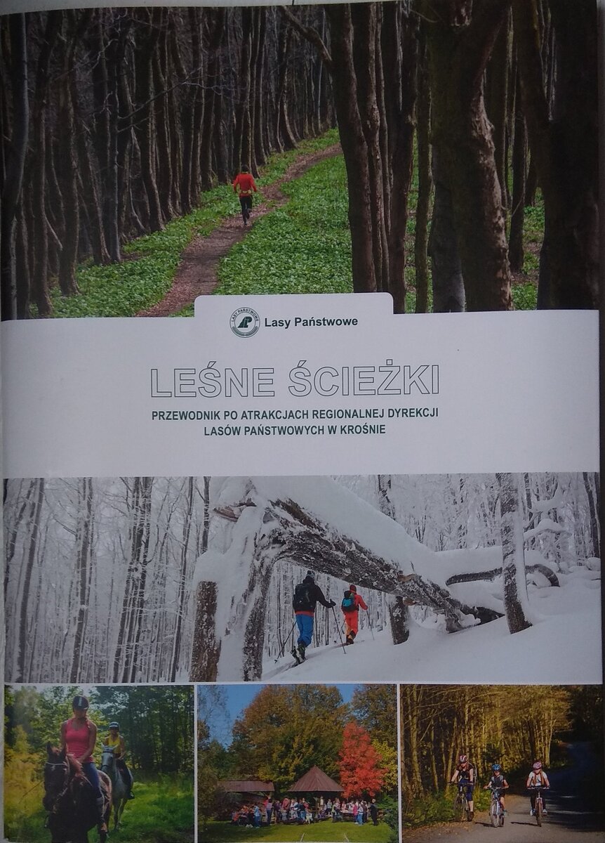Это отлично изданный путеводитель по интересным местам в государственных лесах, находящихся в одном из юго-восточных регионов Польши - Лесные тропинки. Он рассказывает о туристических маршрутах: пеших, конных, вело. Содержит фото объектов, которые стоит посетить. Это интересные памятники природы, деревья, обзорные площадки. Объем - 60 страниц. Качество как у глянцевых журналов. Дорогая и полезная вещь. Получили даром. Как и все желающие, присутствующие на мероприятии.