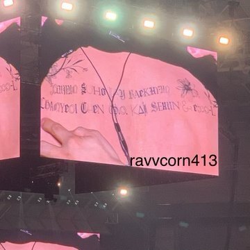 фотография спины Сухо на момент выступления