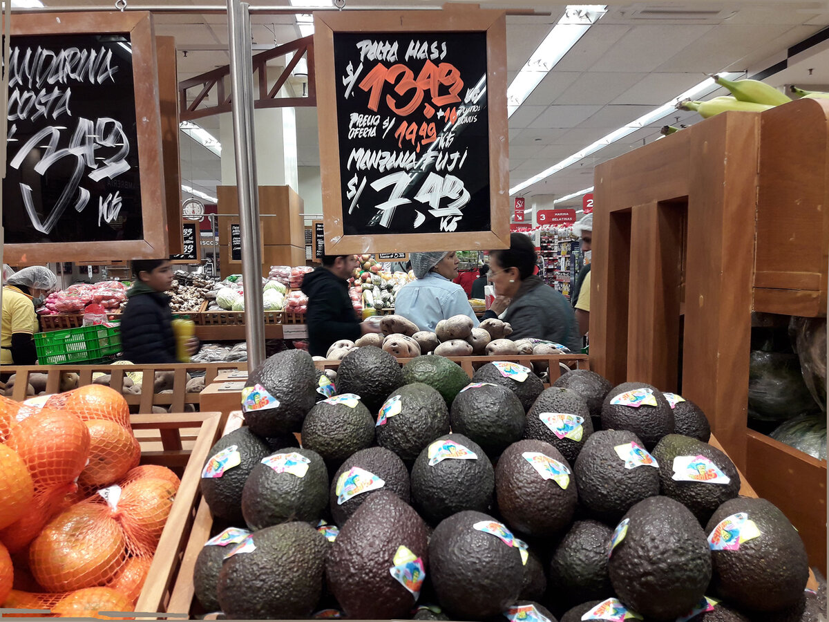 авокадо на белом фоне. аллигаторова груша авокадо. авокадо хасс. авокадо кг. авокадо израиль.