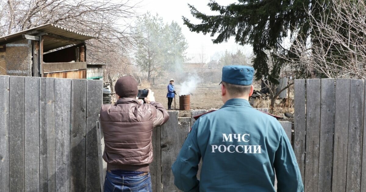 Фото из сервиса Яндекс картинки