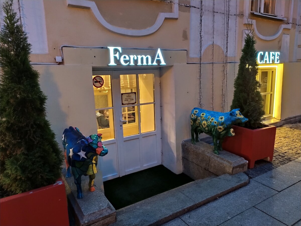 Быки к спагетти впридачу. Фото автора.