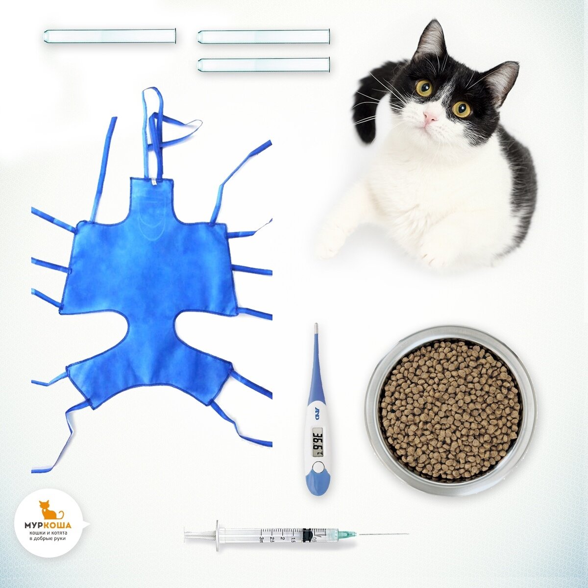 После стерилизации кошки через сколько можно кормить. Стерилизация кошек подготовка. Инструменты для стерилизации кошки. При стерилизации кошки.
