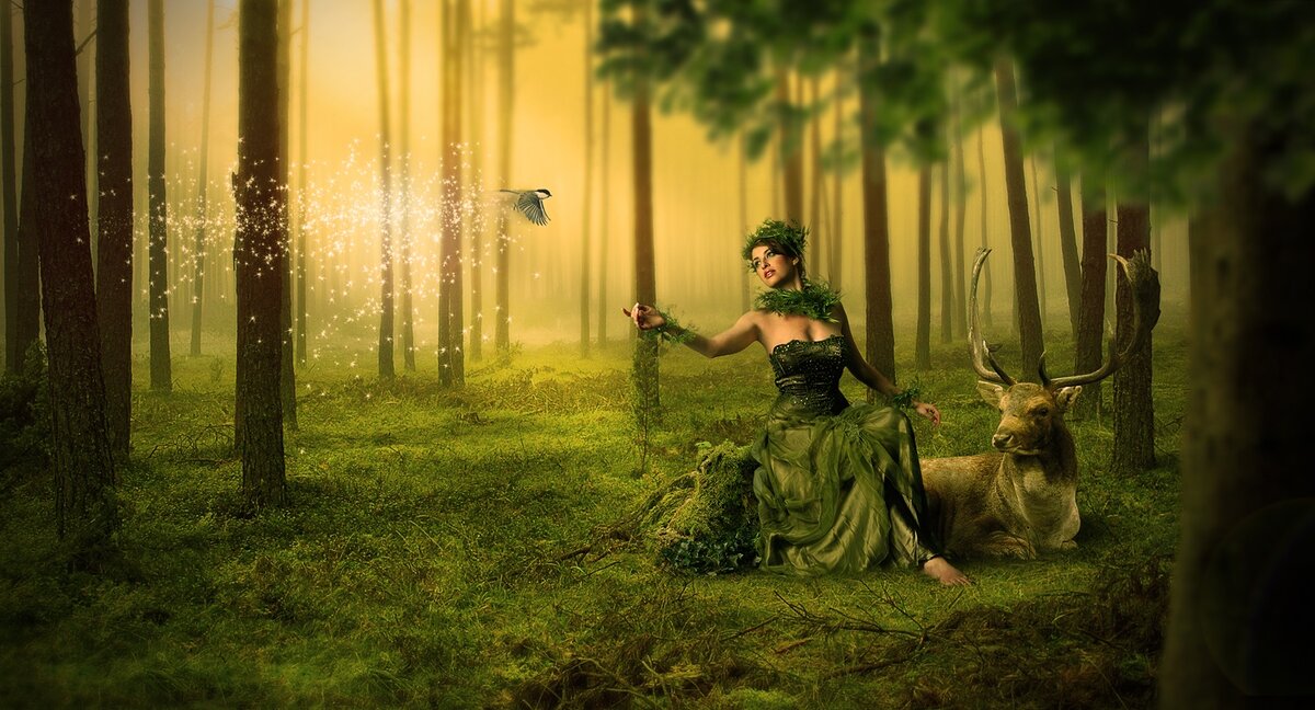 Сказочный лес