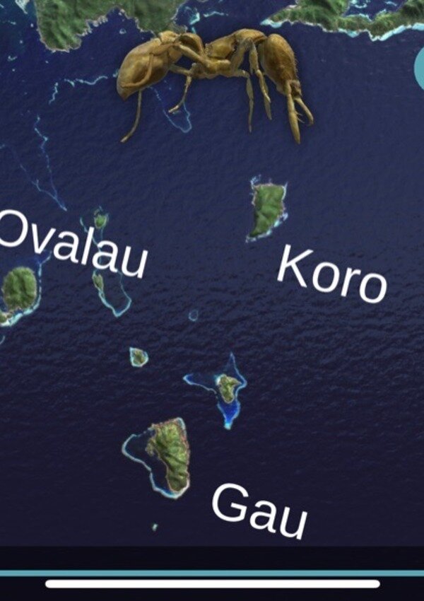 Скриншот приложения. Источник: я автор