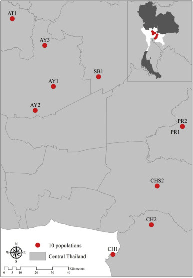 The Sourse: https://www.sciencedirect.com/science/article/pii/S2452316X18302473
